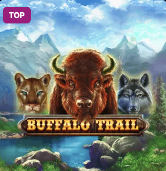 Bets.io Game